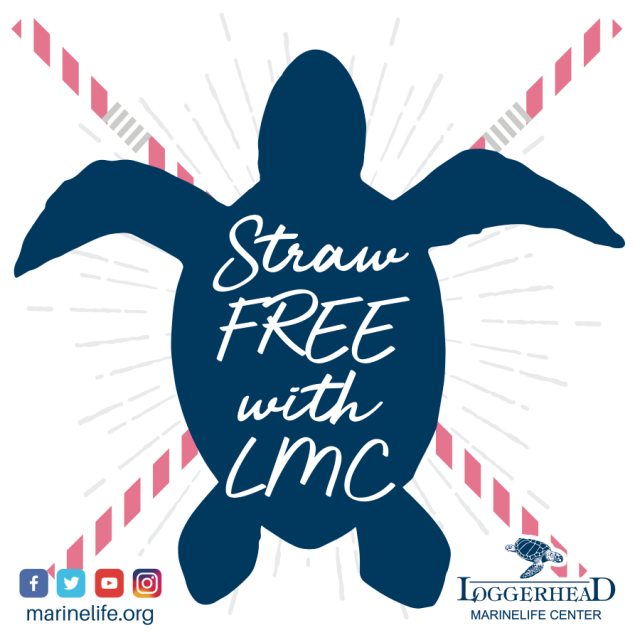 Straw Free Turtle Logo (1)